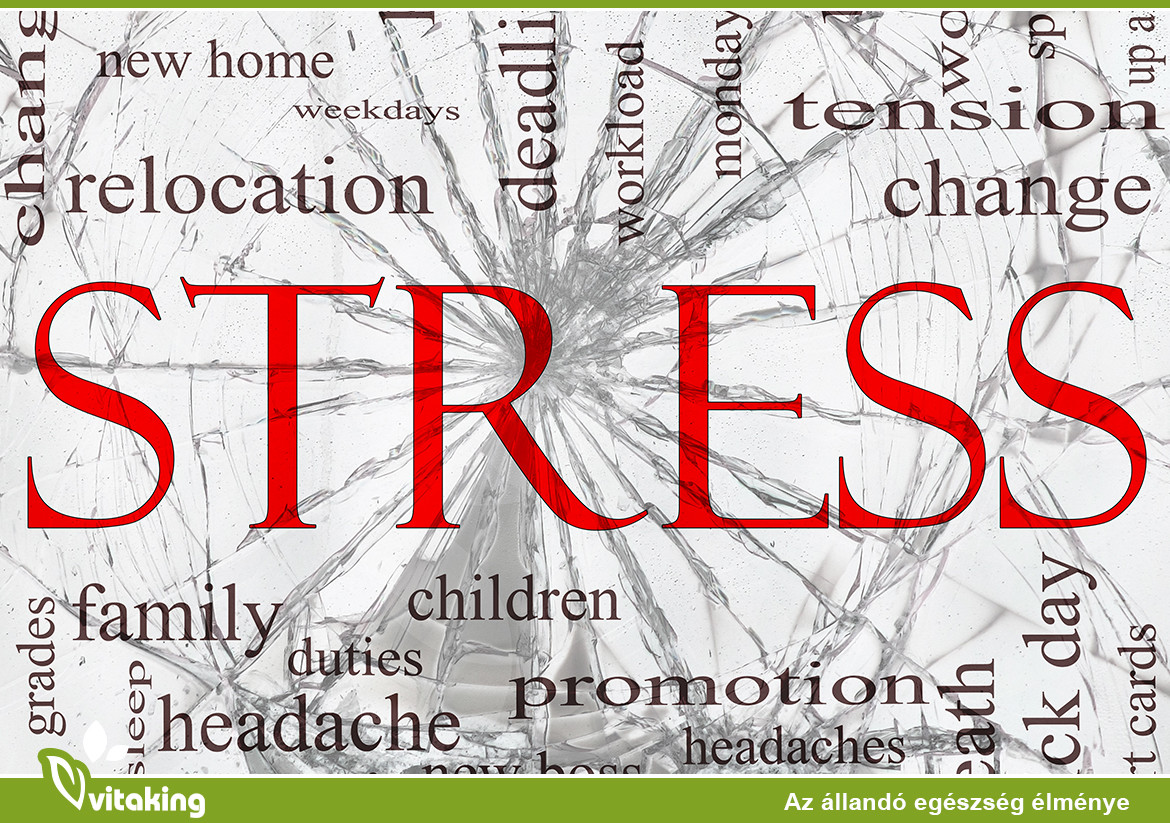 Elkészült Magyarország stressztérképe