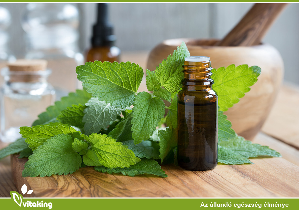 Citromfű - A “lecsendesítő” növény