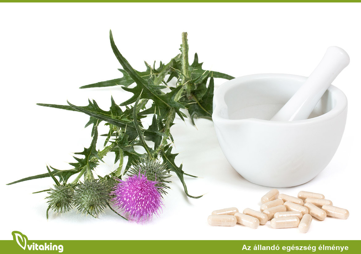 Máriatövis vagy silymarin?