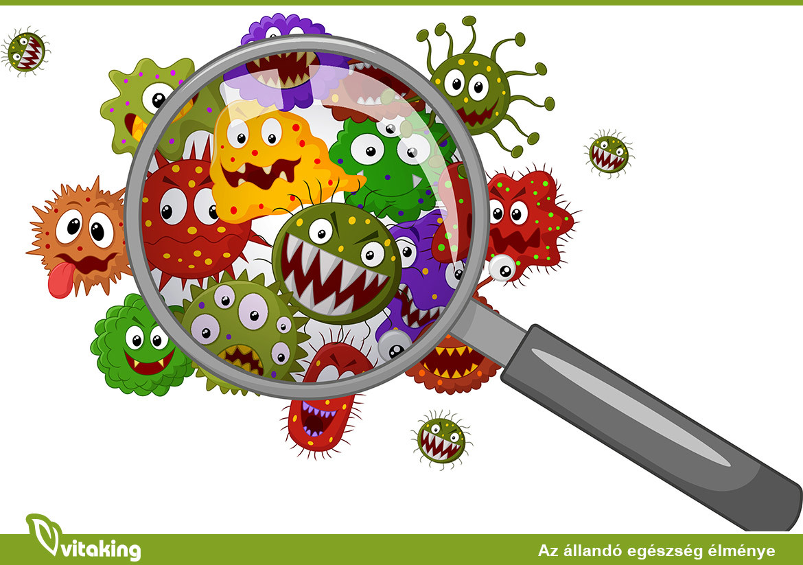 Léteznek jó baktériumok?