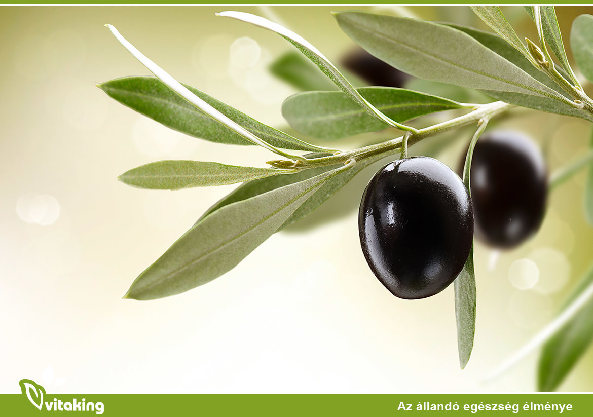 A mediterrán egészségmegőrző