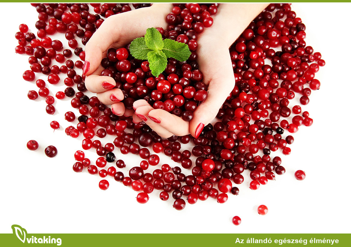 Tőzegáfonyával a fertőzések ellen