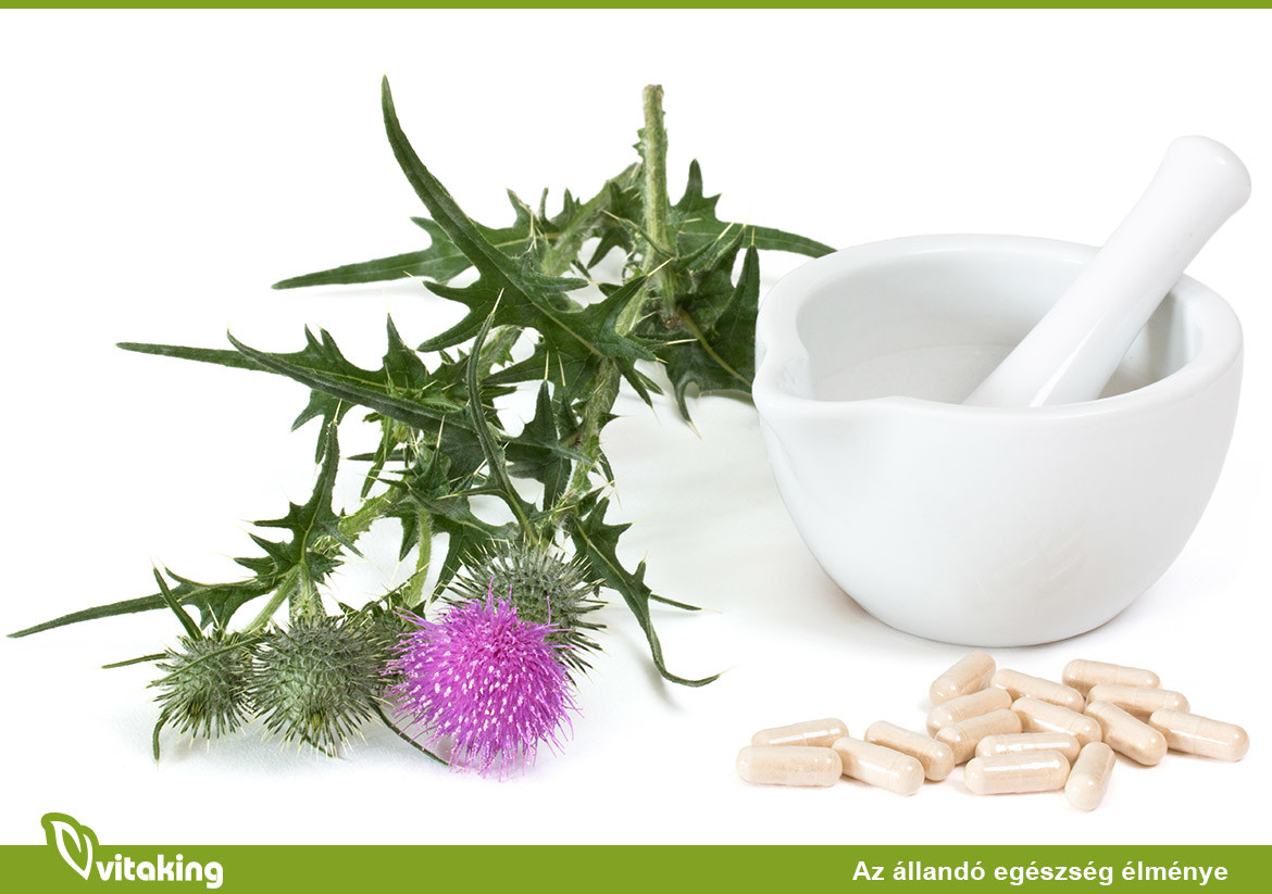 Máriatövis vagy silymarin?
