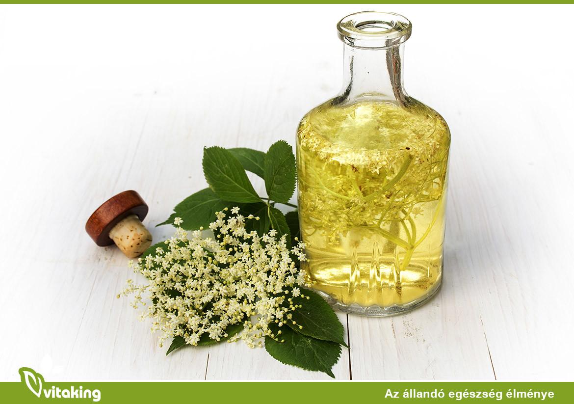 A bodza két legfontosabb előnye