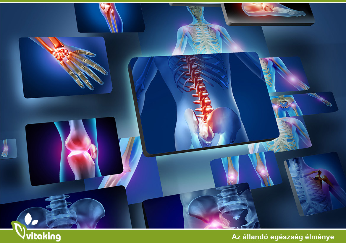 K2 vitamin az “X-összetevő”