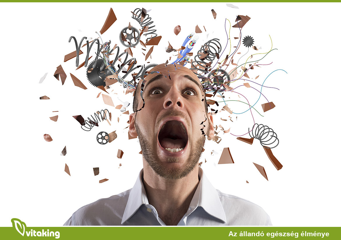 Az idegrendszer és a B-vitaminok