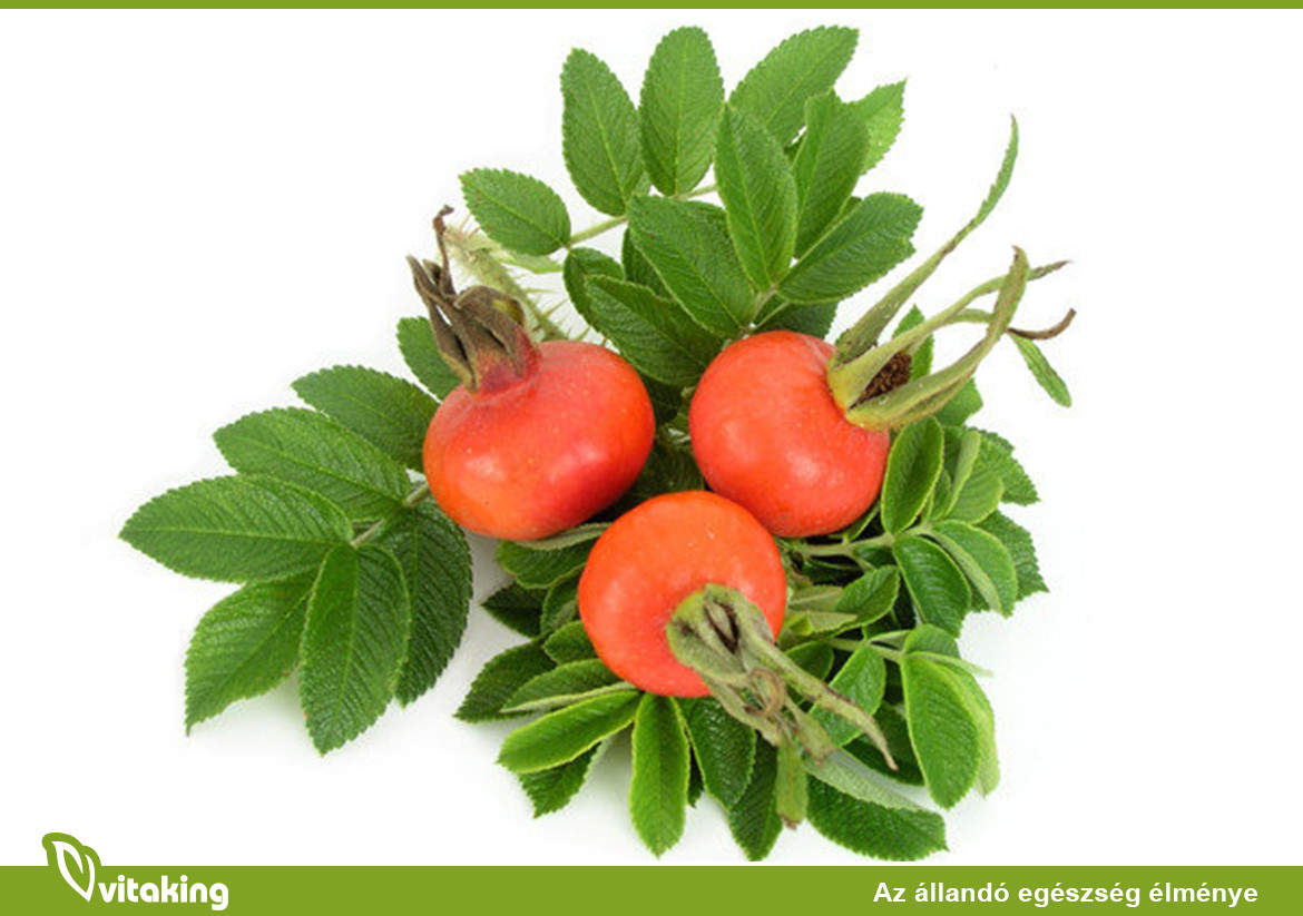 A csipkebogyóból készült por hatékonyabban csökkenti az ízületi fájdalmat, mint a Panadol