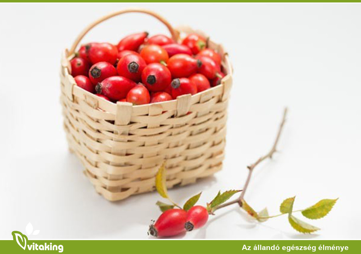 Az ezerarcú csipkebogyó