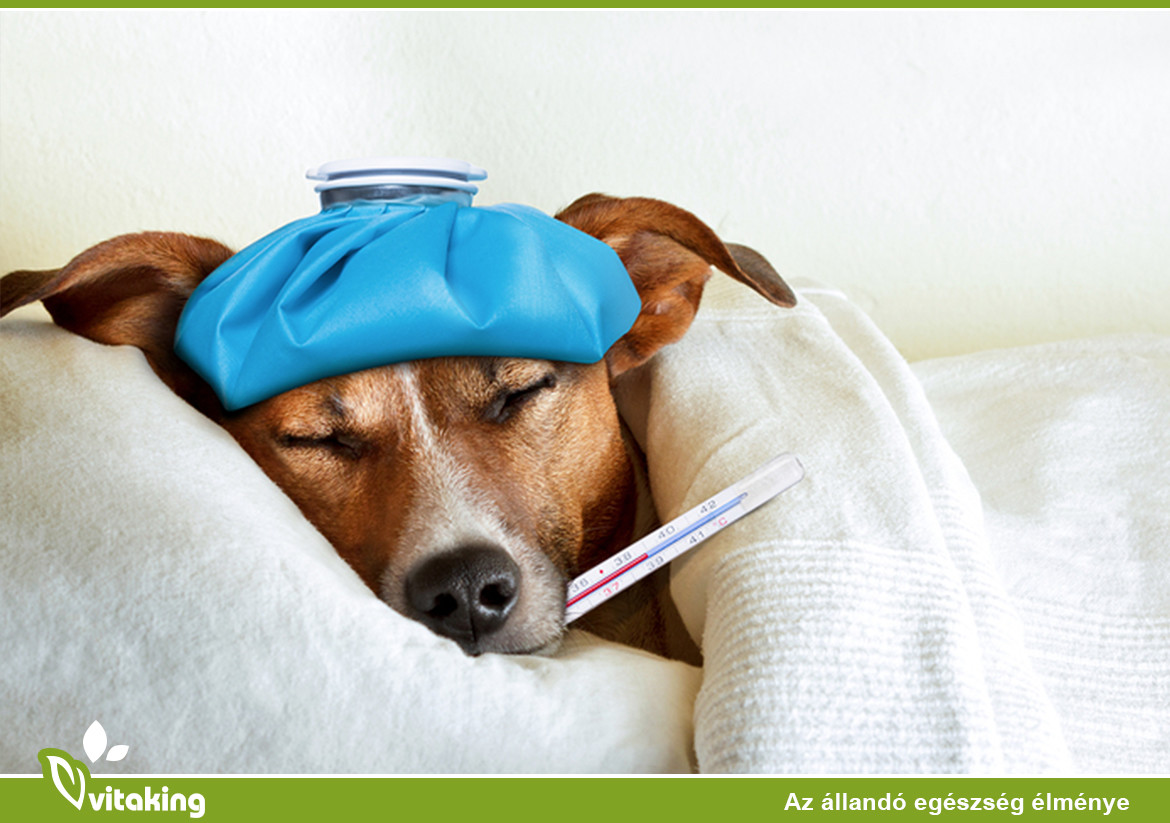 Influenza megelőzés természetesen