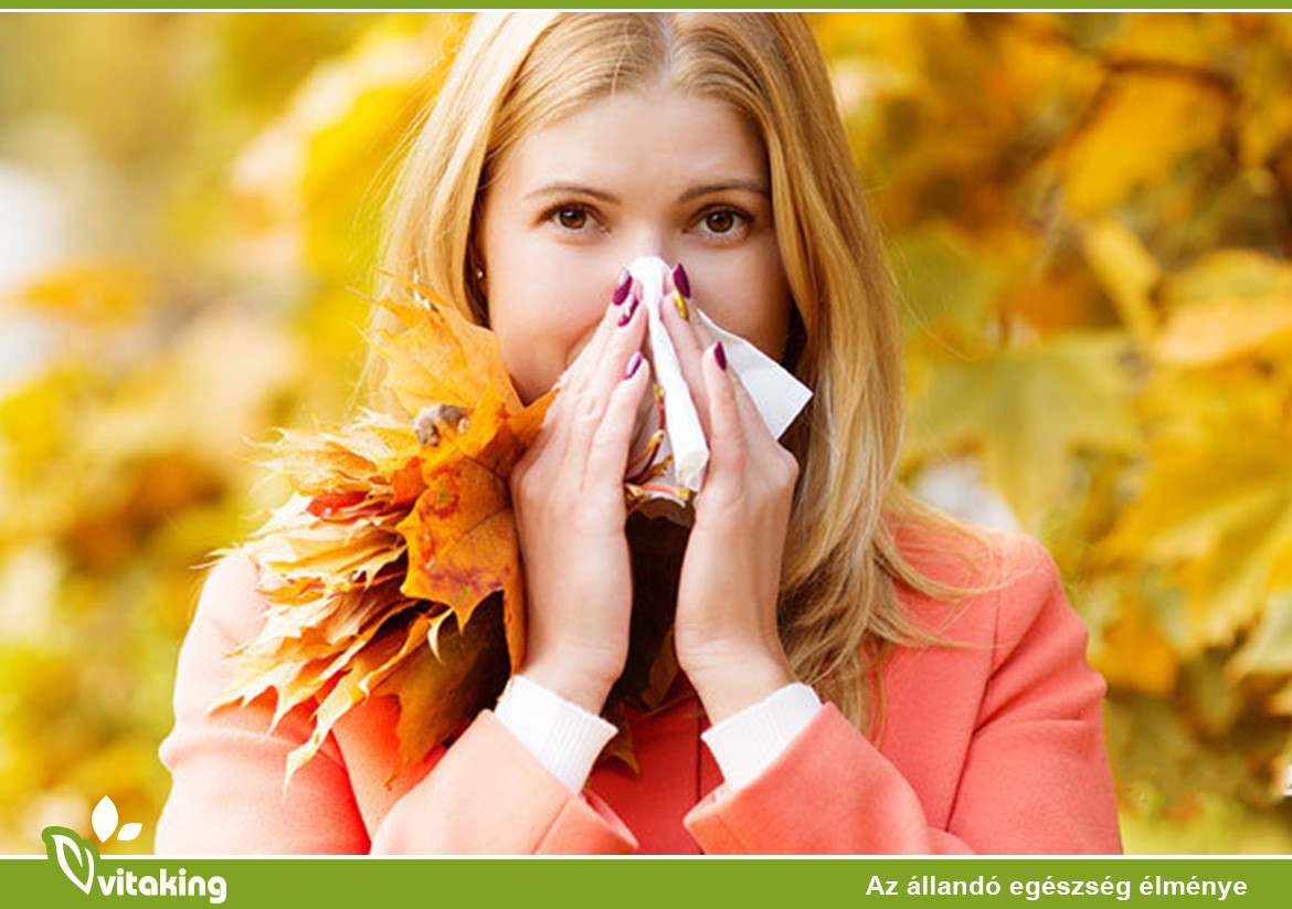 Itt Van Az Ősz...Itt Van Újra