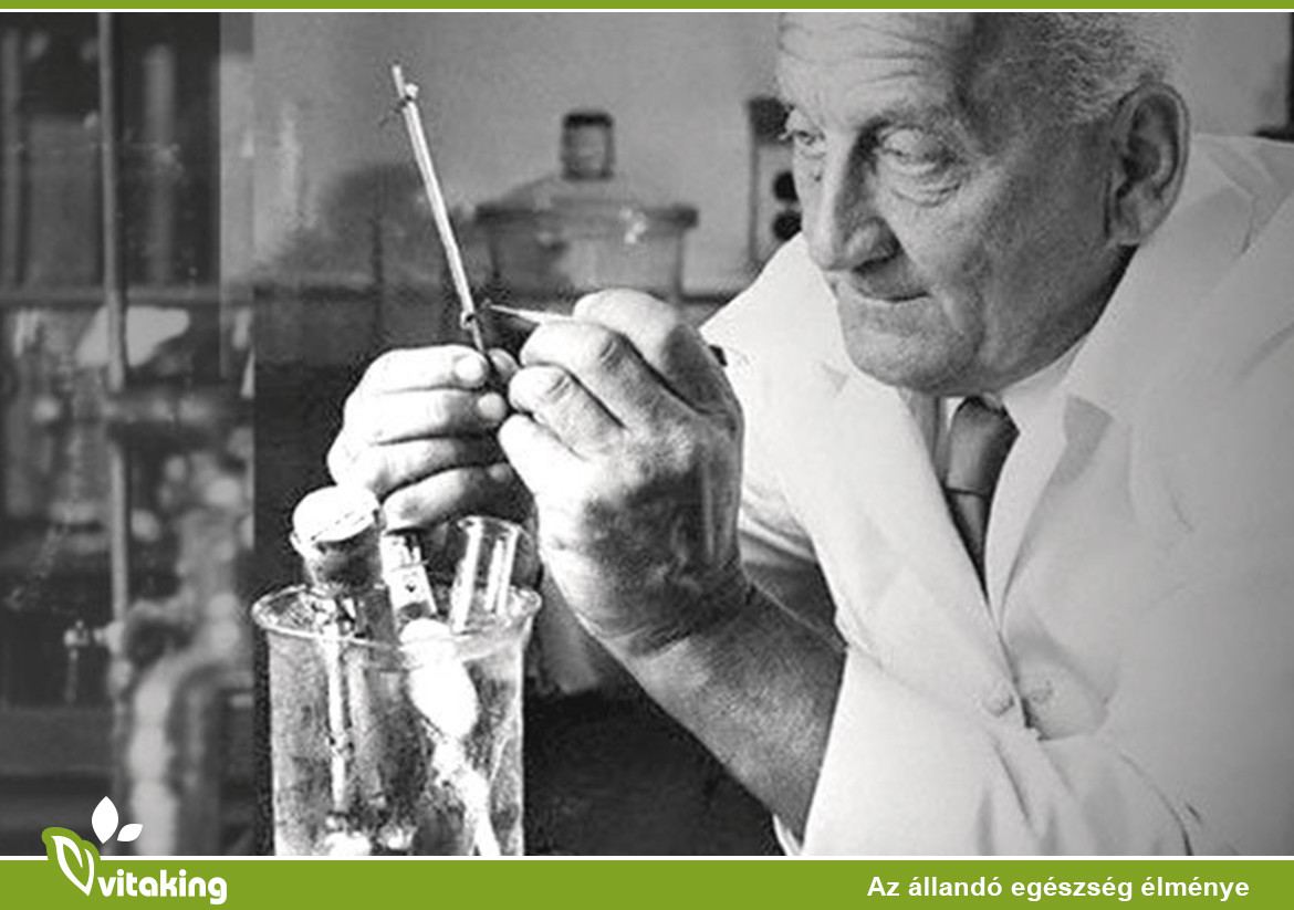 Szent-Györgyi Albert tiszteletére