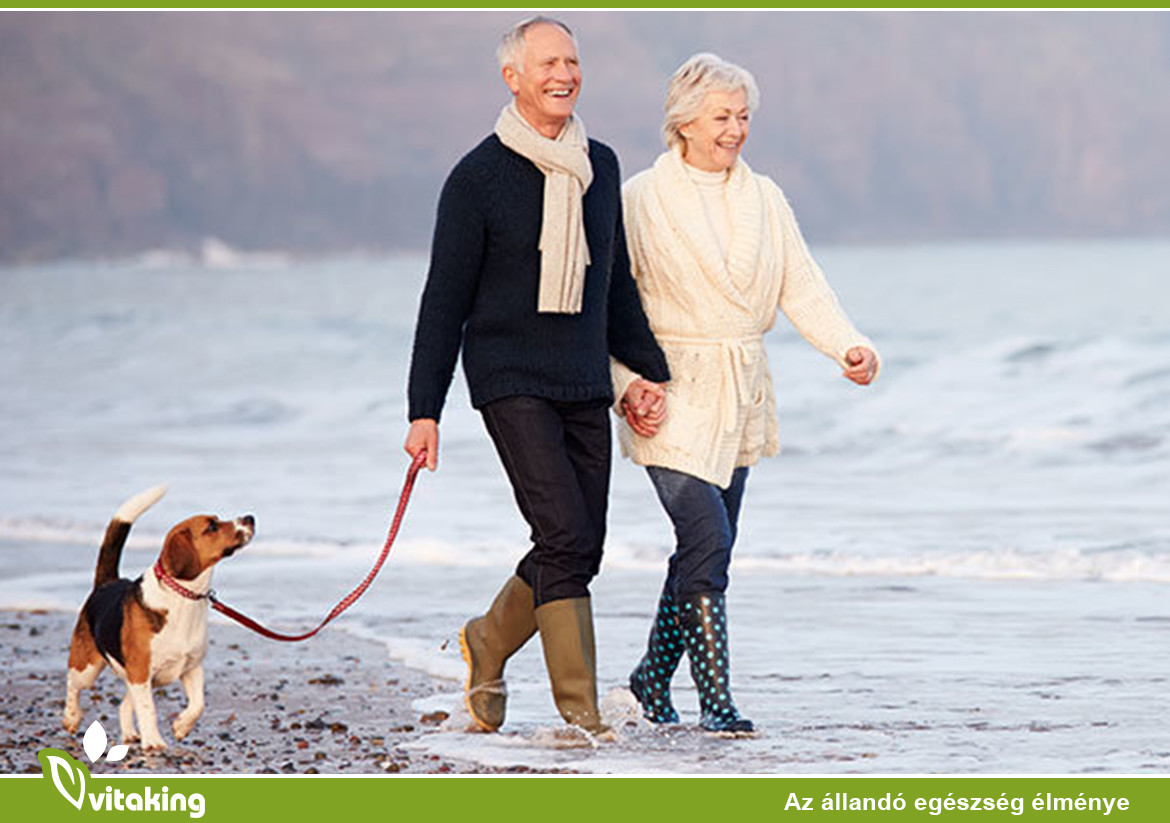 Q10 koenzim – energia termelés a sejtekben