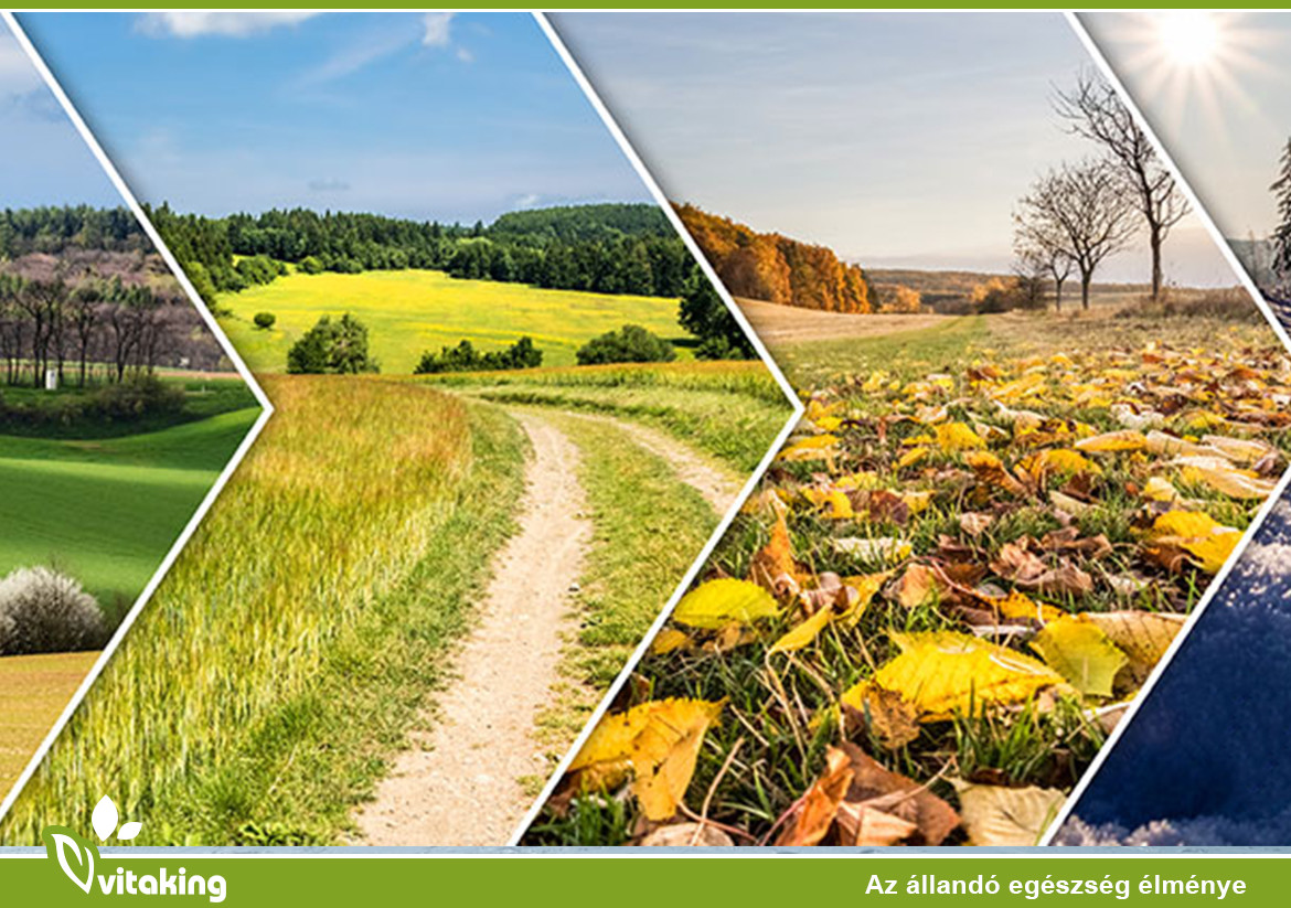 Kell-E Nyáron Vitamint Enni?