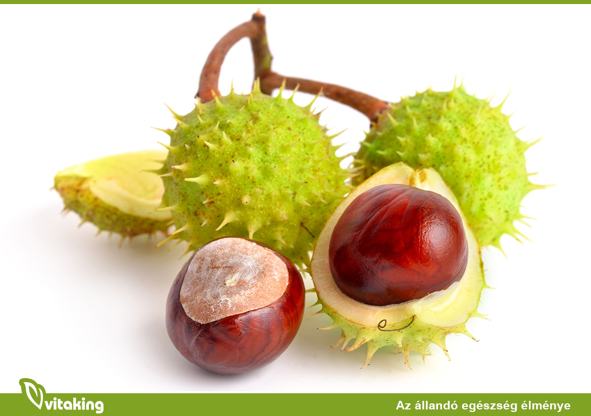 Vadgesztenye az erek egészségéért? Hogyan segít?