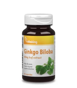 Ginkgo Biloba 60mg (90)