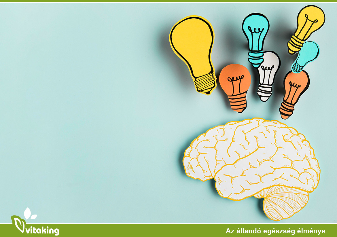 Agy: 8 Étel, Ami Képes Serkenteni A Működését