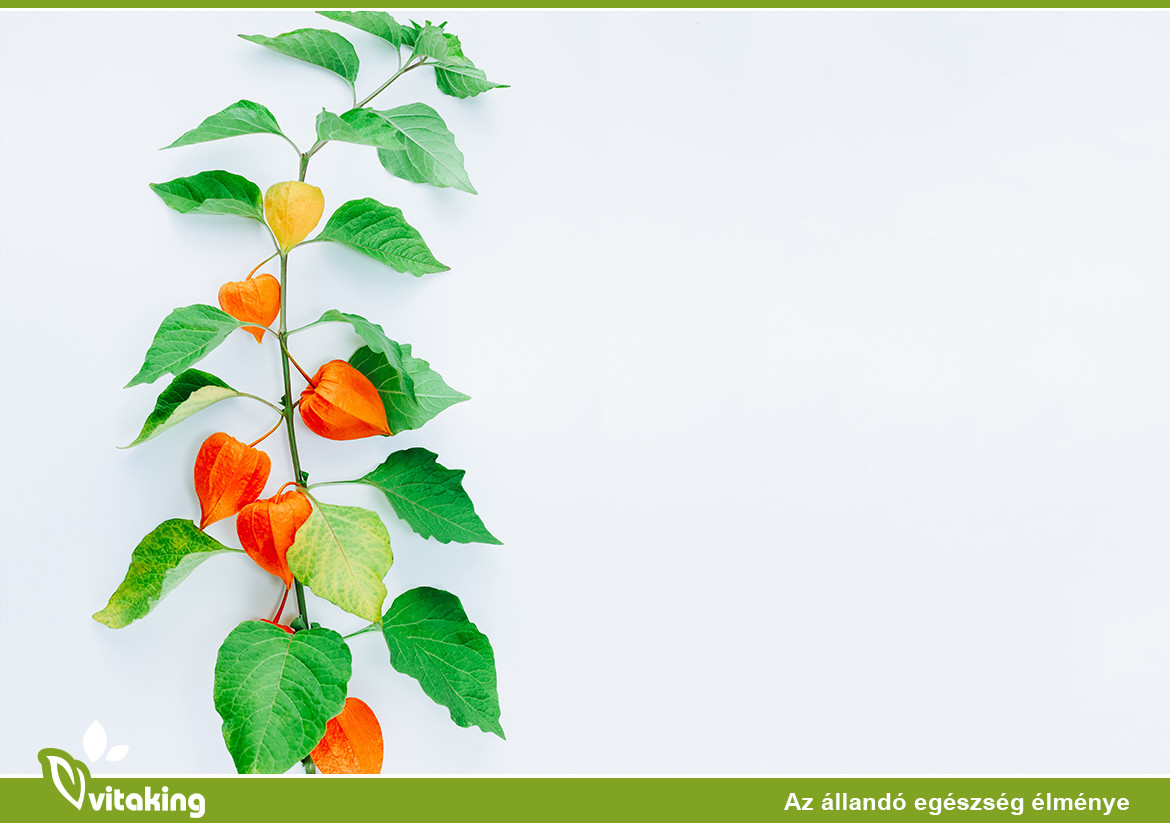 Ashwagandha: Milyen pozitív előnyökkel jár a rendszeres fogyasztása?