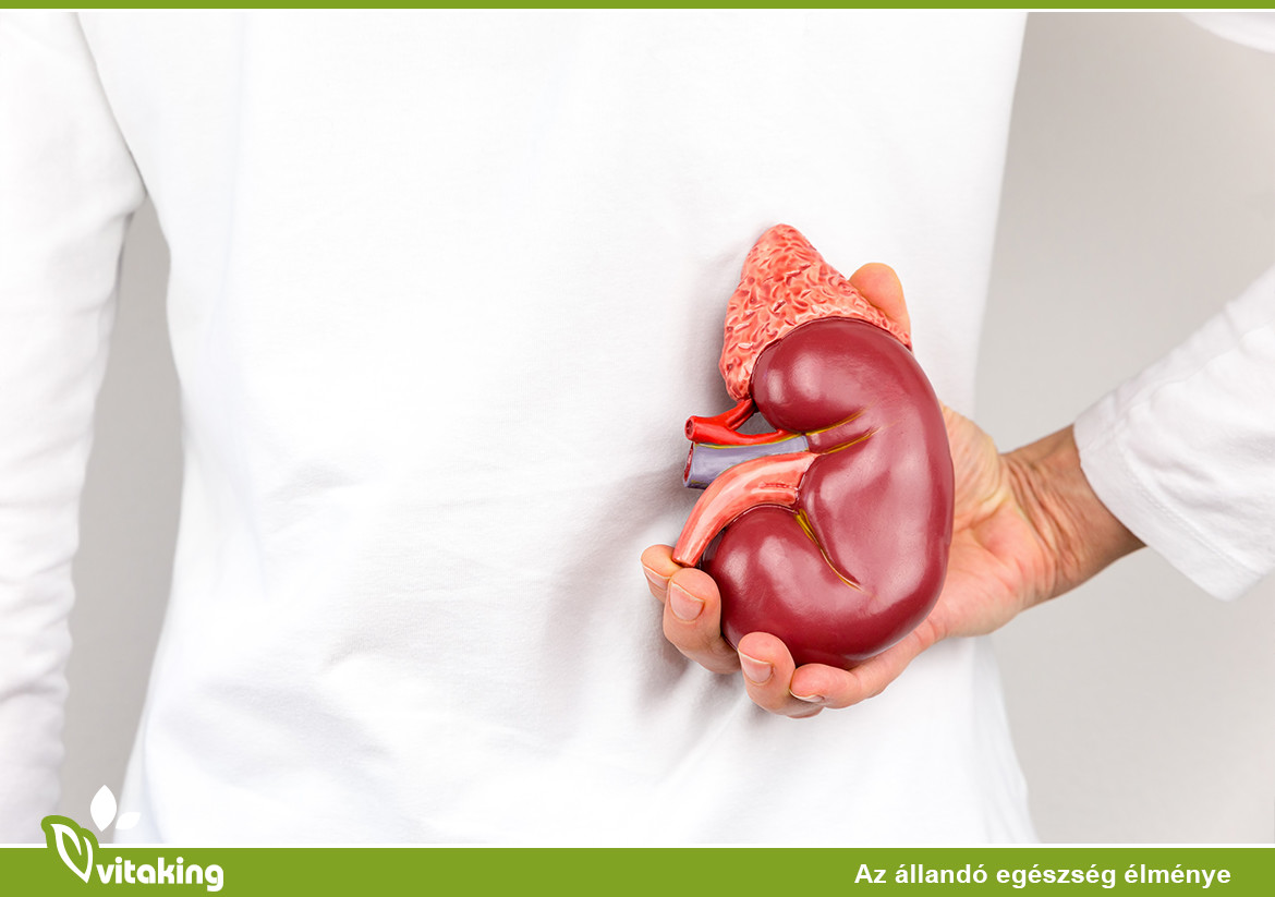 Vese: Milyen gyógynövények segíthetnek a betegségek megelőzésében?