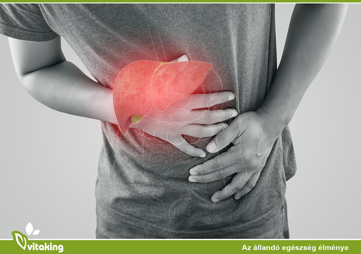 Az egészséges máj 7 gyógynövénye