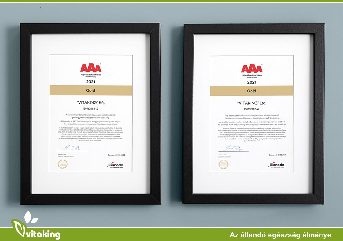 Bisnode tanúsítvány: A pénzügyileg legstabilabb cégek között a Vitaking!