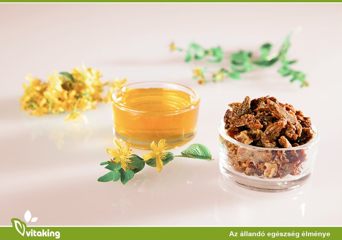 A propolisz előnyei és felhasználása