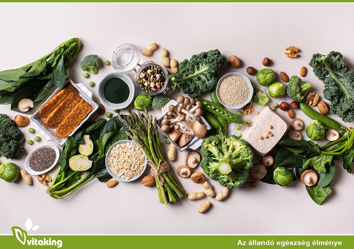 Fehérjebevitel: Elengedhetetlen része az egészséges táplálkozásnak