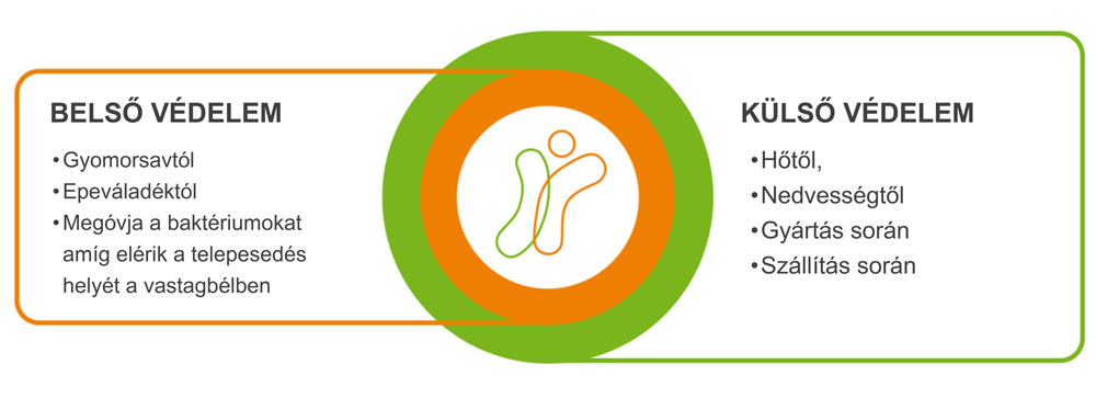 FloraPro élőflórát tartalmazó rágótabletta