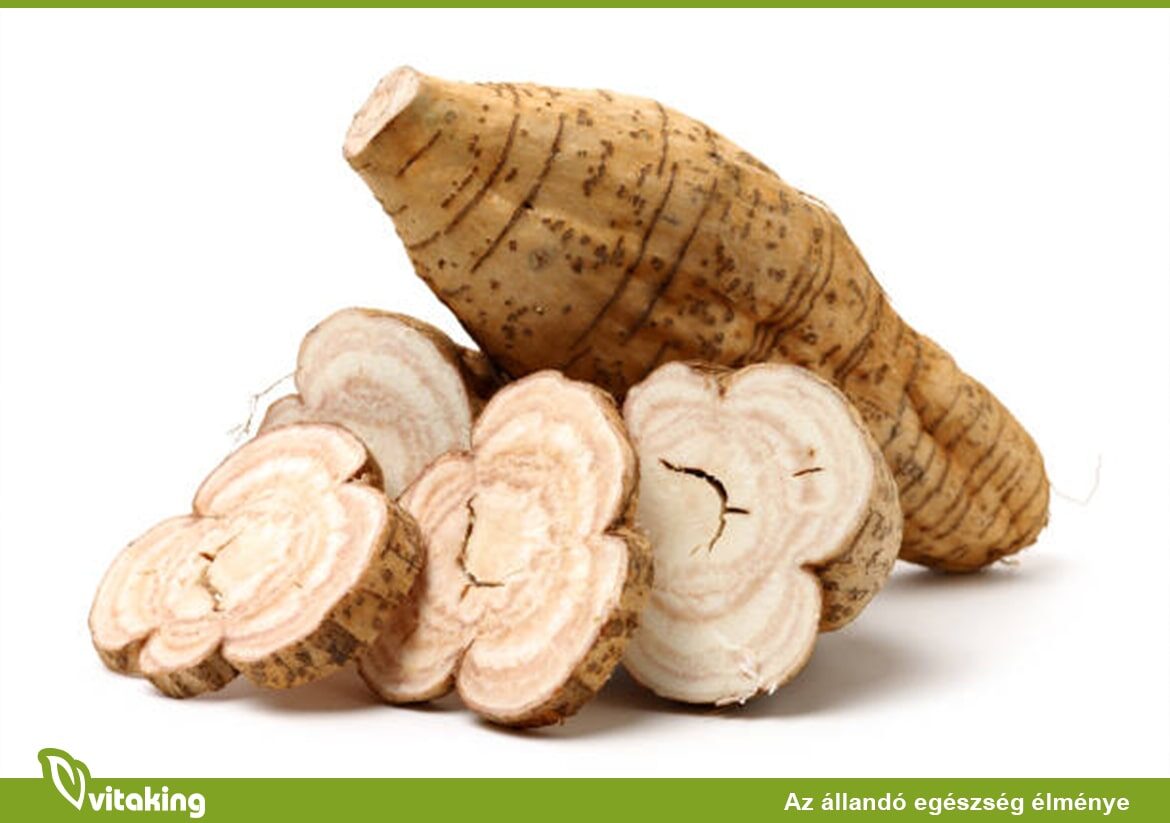 Kudzu gyökér: Nézzük milyen egészségügyi előnyei vannak!