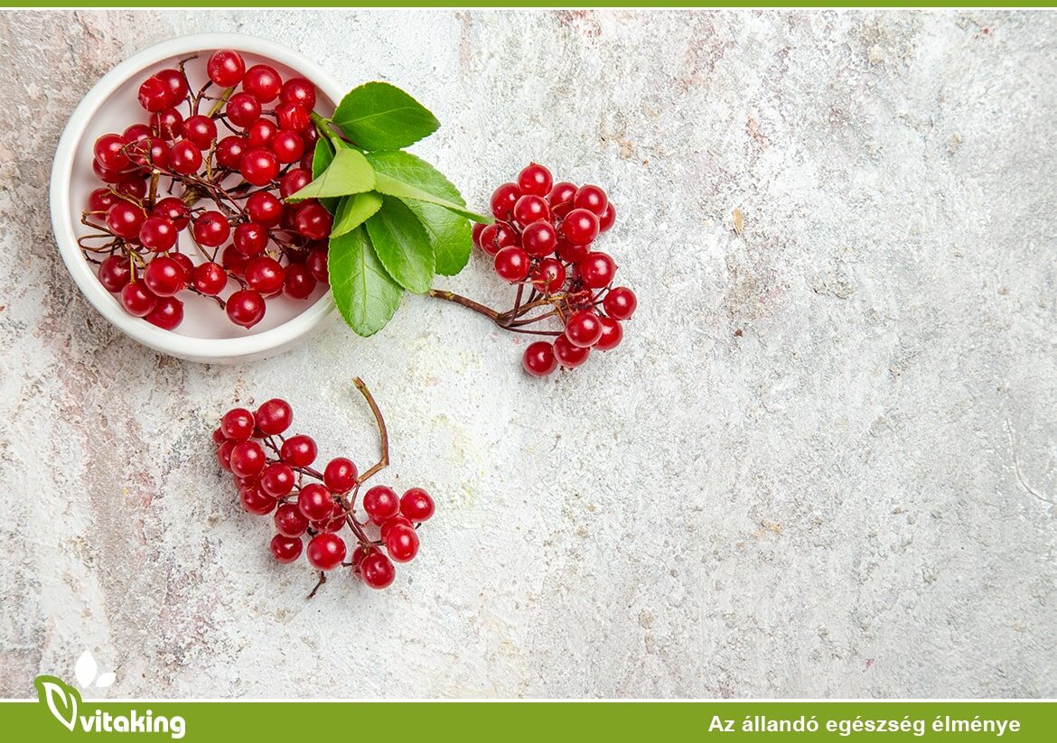 A tőzegáfonya leve valóban hatékony a húgyúti fertőzések ellen?