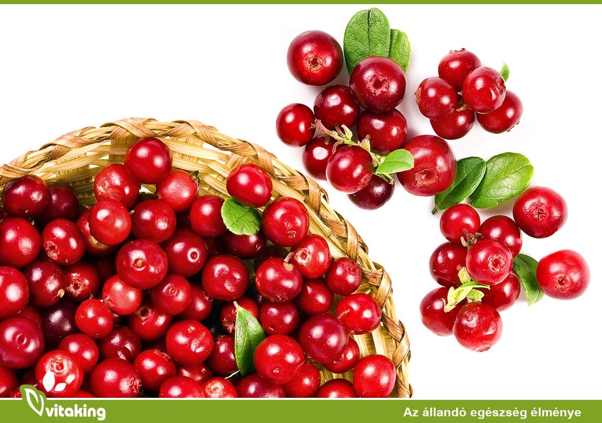 A húgyúti fertőzések kezelésében segítségünkre lehet a tőzegáfonya is!