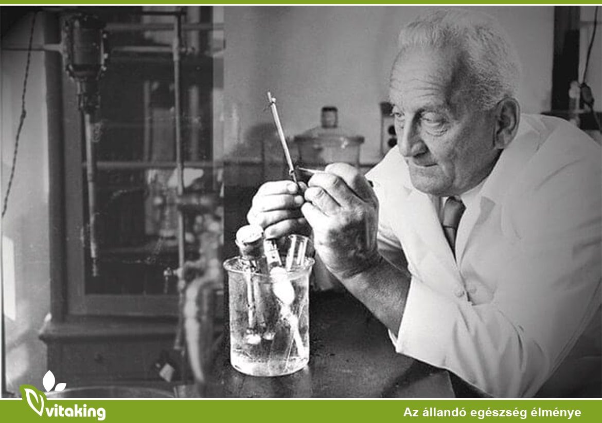 Szent-Györgyi Albert és a C-vitamin felfedezése