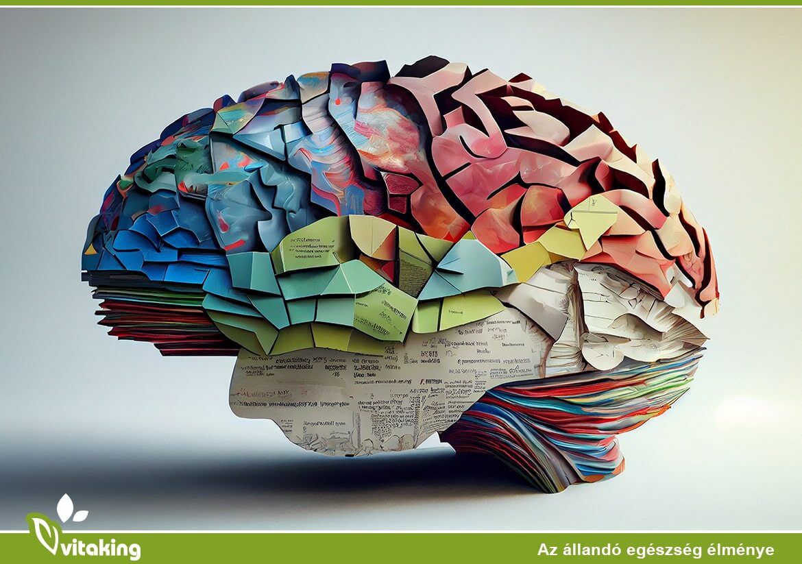 B6-vitamin és a flavonoidok: Segíthetnek megőrizni a kognitív funkciókat