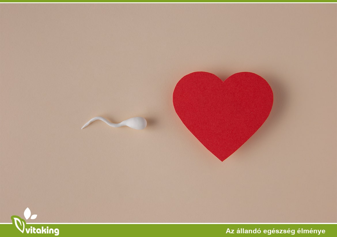 Termékenység: Az E-vitamin segíthet a javításában! Nézzük hogyan!