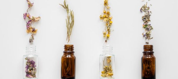 A gyógynövények ereje természetes támogatás a testnek és a léleknek is!