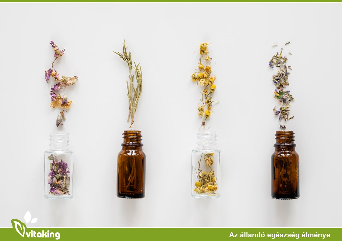 A gyógynövények ereje természetes támogatás a testnek és a léleknek is!