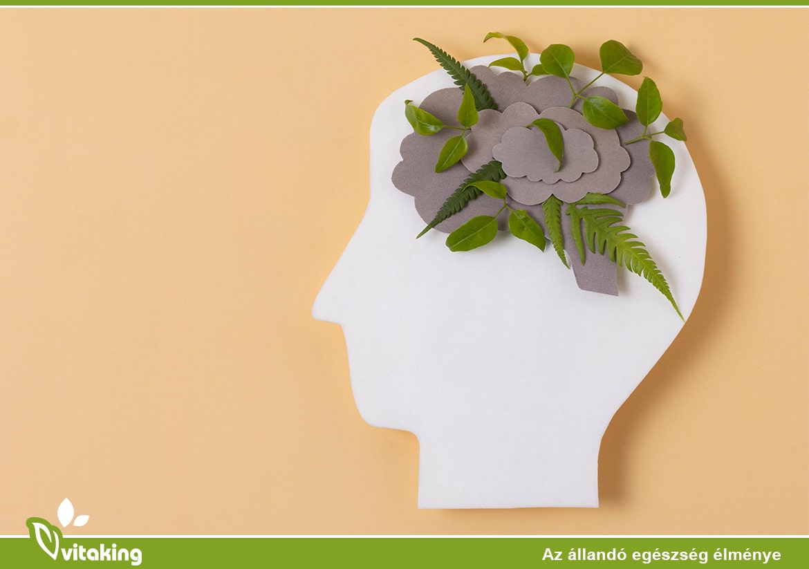 Az agy: Nézzük, milyen természetes eszközökkel javíthatod a működését!