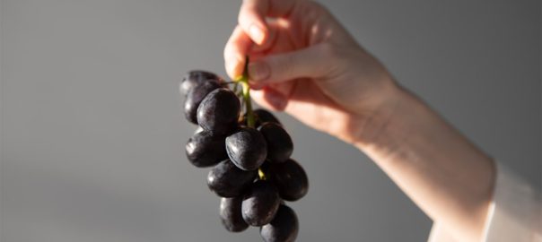 Resveratrol: Mi adja a kékszőlő igazi erejét és miért ilyen hasznos?